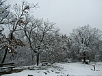 IMG_5619