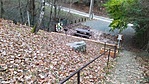 IMG_20211204_081421