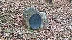 IMG_20211204_081821