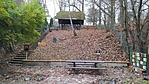 IMG_20211204_081843