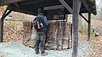 IMG_20211204_081418