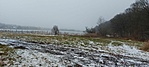 Harsányi tó