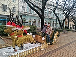 IMG_20211231_124418