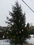 IMG_20211227_124055