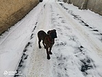 IMG_20211228_134824