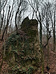 20211204_094850