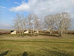 IMG_20211217_120725