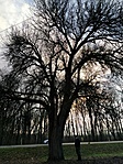 IMG_20211217_121357