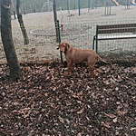 IMG_20211201_133807