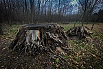 IMG_0178