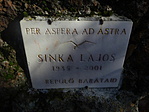 Ad astra per aspera