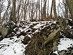 IMG_20220123_113926