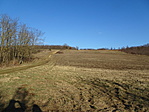 DSC05719