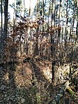 IMG_20220107_121603_1