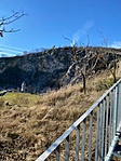 IMG_0263