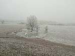 IMG_20220116_134225