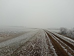 IMG_20220116_134234