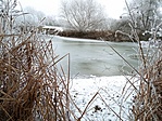 IMG_20220116_135036