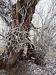 IMG_20220116_135042