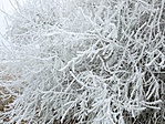 IMG_20220116_135846