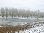 IMG_20220116_141513