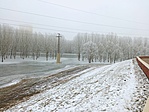 IMG_20220116_141516