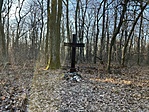IMG_0599