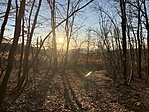 IMG_0605