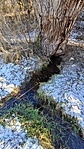 2022-01-22 13.50.33R