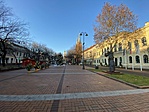 IMG_6298