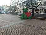 IMG_2876