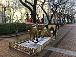 IMG_2877