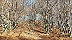 20220116_114512