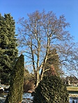IMG_0035