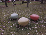 Sportos Újpest: Szilas-park-3
