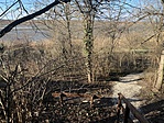 IMG_8839