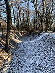 IMG_8870