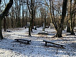 IMG_8871