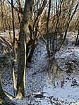 IMG_8874