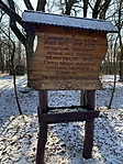 IMG_8877