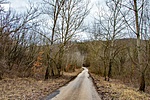 _DSC4607