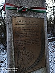 IMG_20220121_163204
