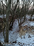 IMG_20220121_162825