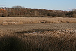 IMG_4843
