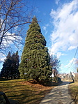 20220128_132119