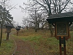 IMG_20211230_103509