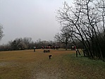 IMG_20211230_103647