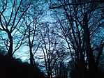 IMG_20220108_164932