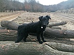 IMG_20220129_105628