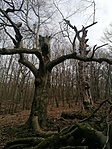 IMG_20220129_111653